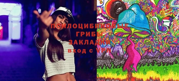 соль ск Зерноград