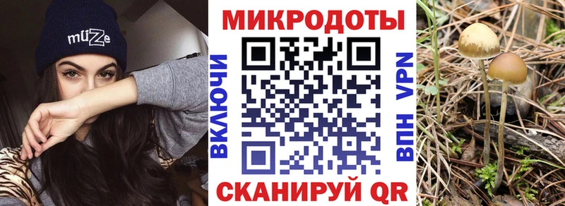MEGA сайт  Бердск  Псилоцибиновые грибы Cubensis 