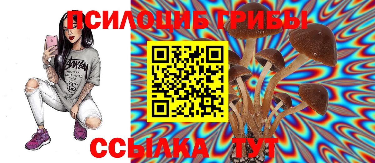 Галлюциногенные грибы мухоморы  Вход с VPN  Бердск 