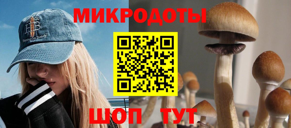 продажа наркотиков  Псилоцибиновые грибы Psilocybe  Бердск  Галлюциногенные грибы прущие грибы 