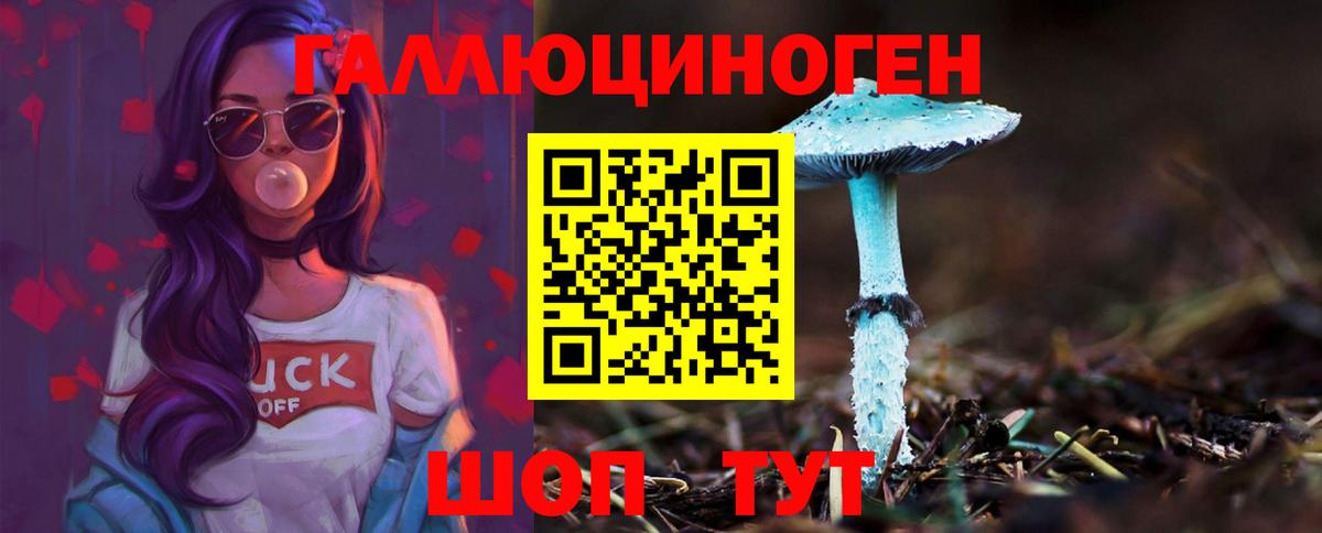 Галлюциногенные грибы Psilocybe Бердск