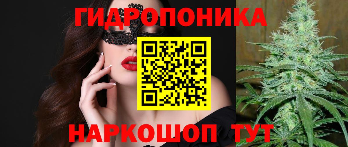 Бошки Шишки VHQ  Бошки марихуана семена  Вход с VPN  Бердск  Каннабис White Widow 